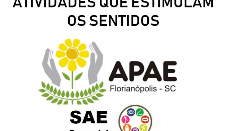 Estimulando os Sentidos