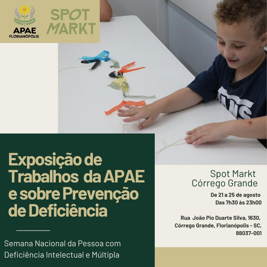 Trabalhos APAE no Spot Markt