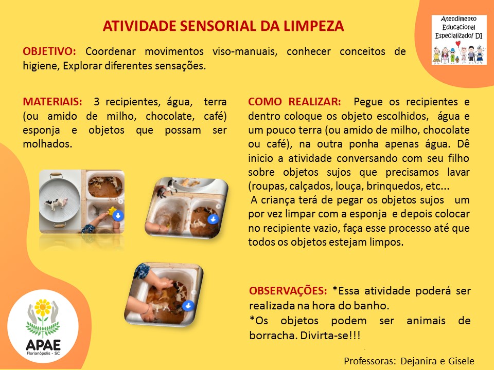 Atendimento Educacional Especializado - Atividade Sensorial da Limpeza