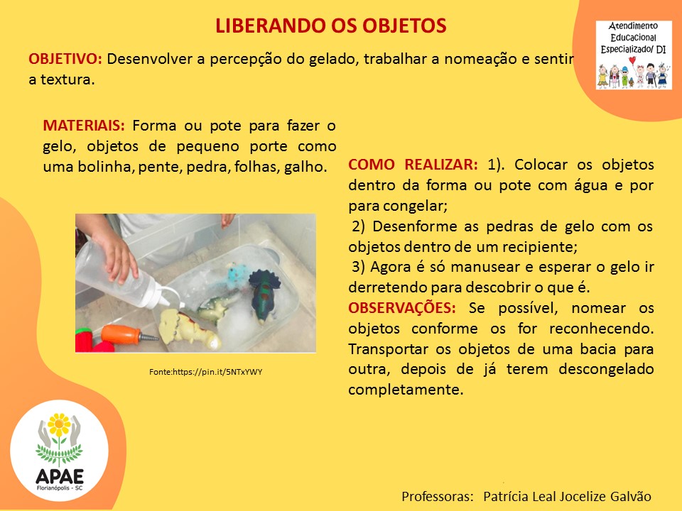Serviço Pedagógico Específico - Liberando os Objetos