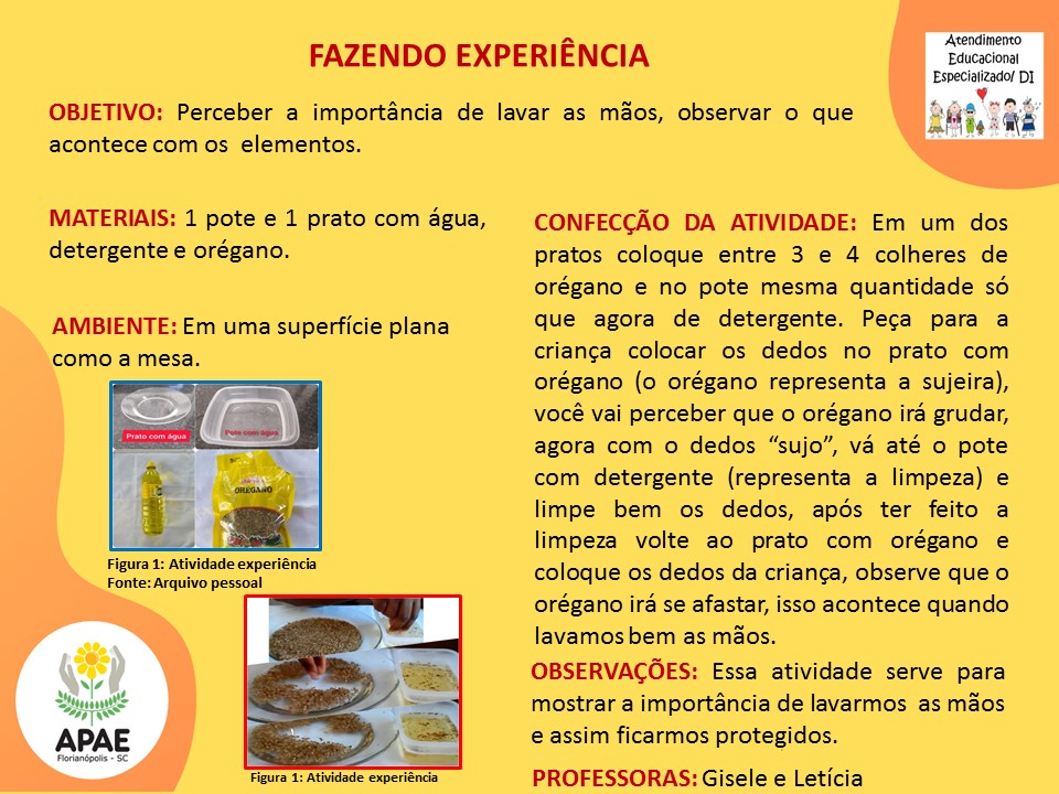 Estimulação Precoce 2 - Fazendo Experiências